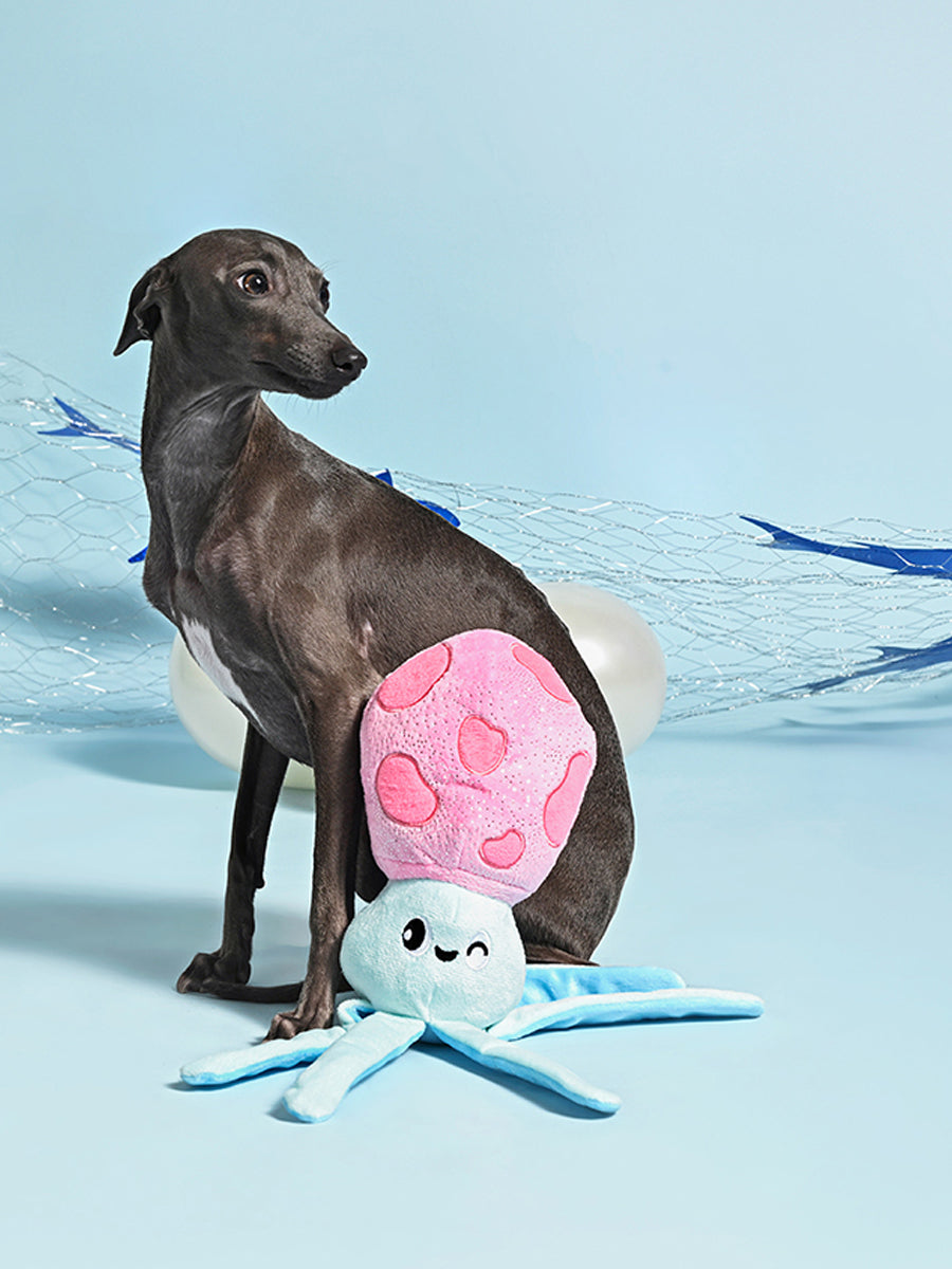 HugSmart-peluche-corde-pour-chien-chiot-ocean-pals-calamar