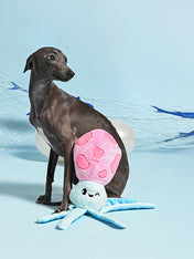HugSmart-peluche-corde-pour-chien-chiot-ocean-pals-calamar