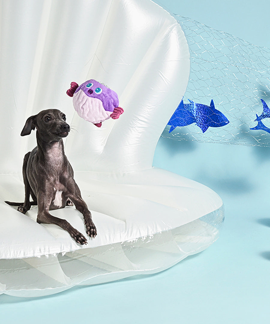 HugSmart-peluche-corde-pour-chien-chiot-ocean-pals-poisson-globe