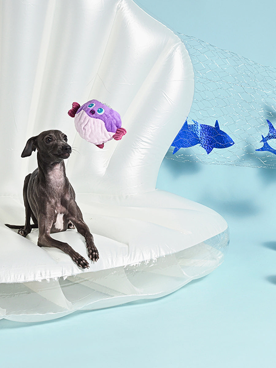 HugSmart-peluche-corde-pour-chien-chiot-ocean-pals-poisson-globe
