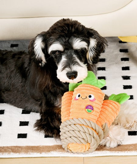 HugSmart-peluche-interactive-pour-chien-chiot-corde-carotte