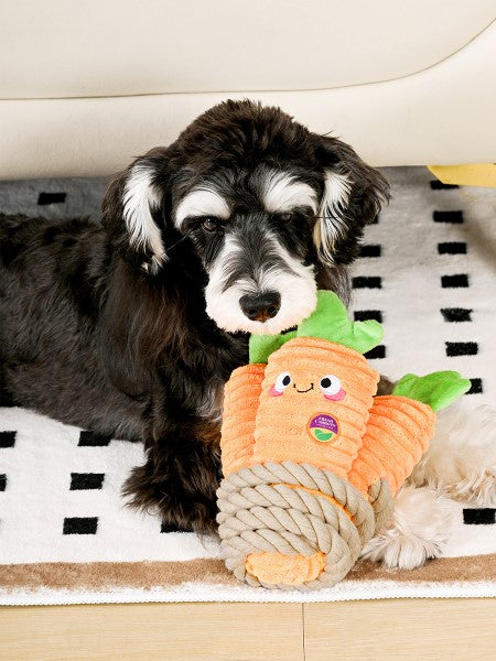 HugSmart-peluche-interactive-pour-chien-chiot-corde-carotte