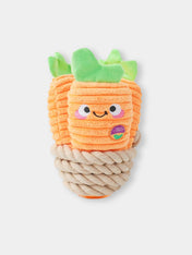 HugSmart-peluche-interactive-pour-chien-chiot-corde-carotte