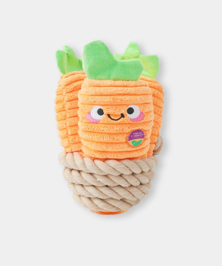 HugSmart-peluche-interactive-pour-chien-chiot-corde-carotte