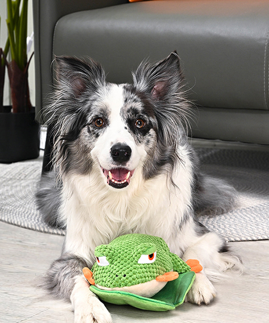 HugSmart-peluche-interactive-pour-chien-chiot-grenouille