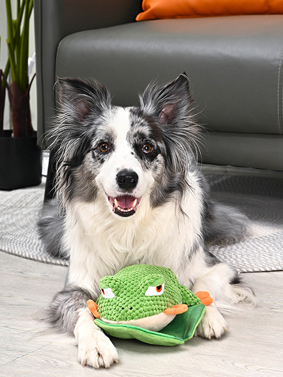 HugSmart-peluche-interactive-pour-chien-chiot-grenouille