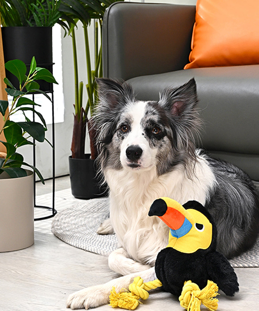 HugSmart-peluche-interactive-pour-chien-chiot-toucan