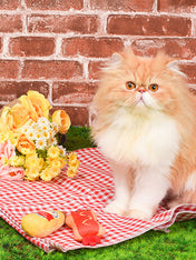       HugSmart-peluche-pour-chat-herbe-a-chat-hot-dog-moutard