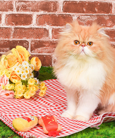       HugSmart-peluche-pour-chat-herbe-a-chat-hot-dog-moutard