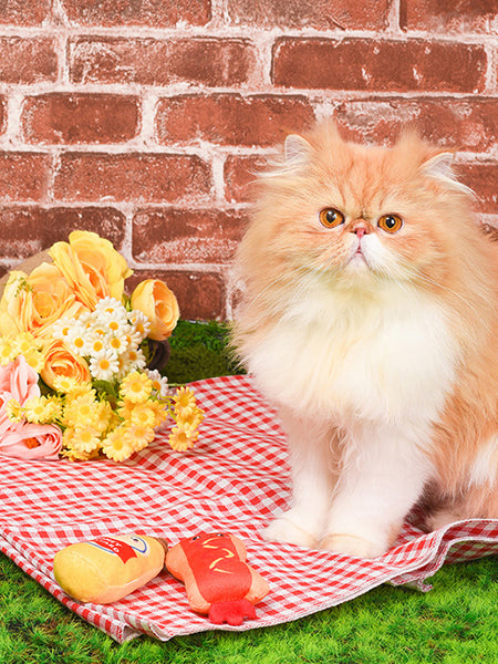       HugSmart-peluche-pour-chat-herbe-a-chat-hot-dog-moutard