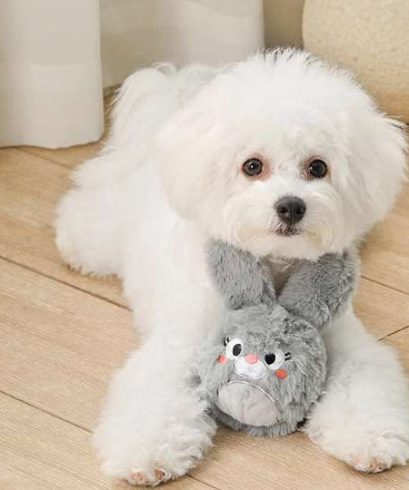 HugSmart-peluche-pour-chien-chiot-balle-lapin-paques