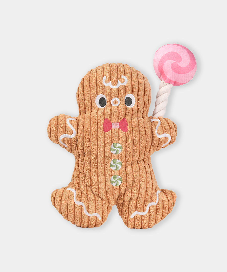 HugSmart-peluche-pour-chien-chiot-gingerbread-man