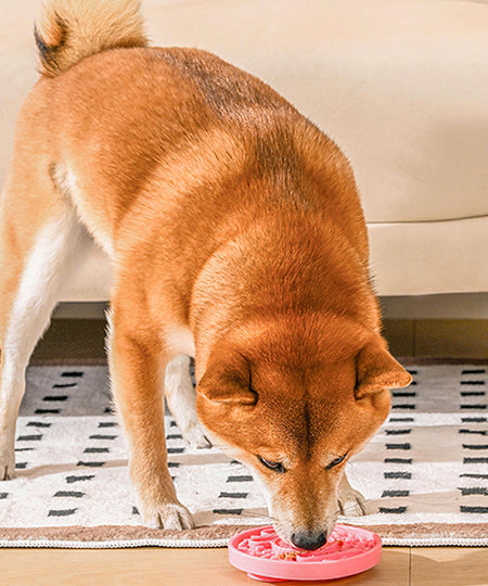 HugSmart-tapis-lechage-chien-donut