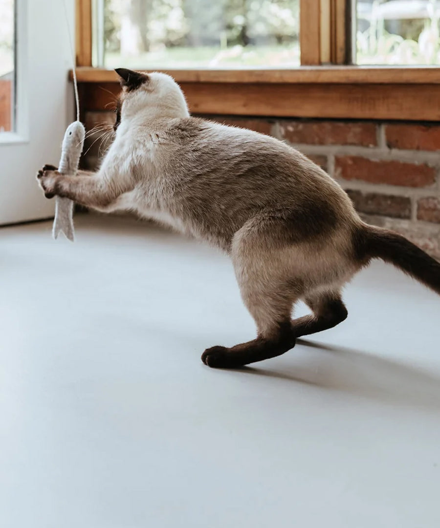 Hunter-Jouet-pour-chat-en-laine-Poisson-ficelle-gris