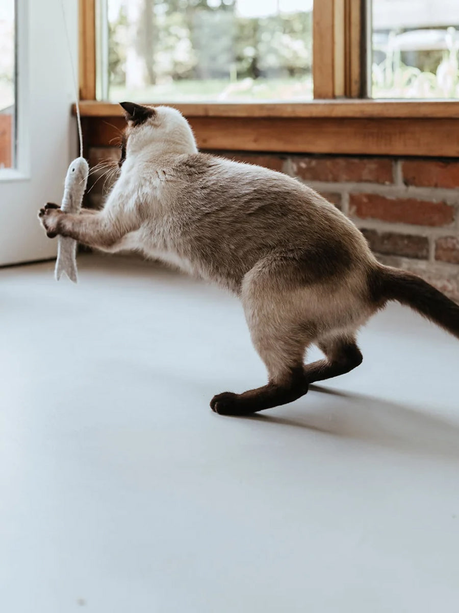 Hunter-Jouet-pour-chat-en-laine-Poisson-ficelle-gris