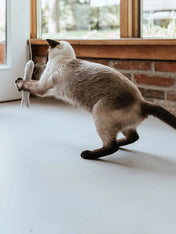 Hunter-Jouet-pour-chat-en-laine-Poisson-ficelle-gris
