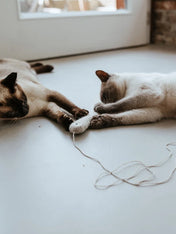 Hunter-Jouet-pour-chat-en-laine-Poisson-ficelle-gris