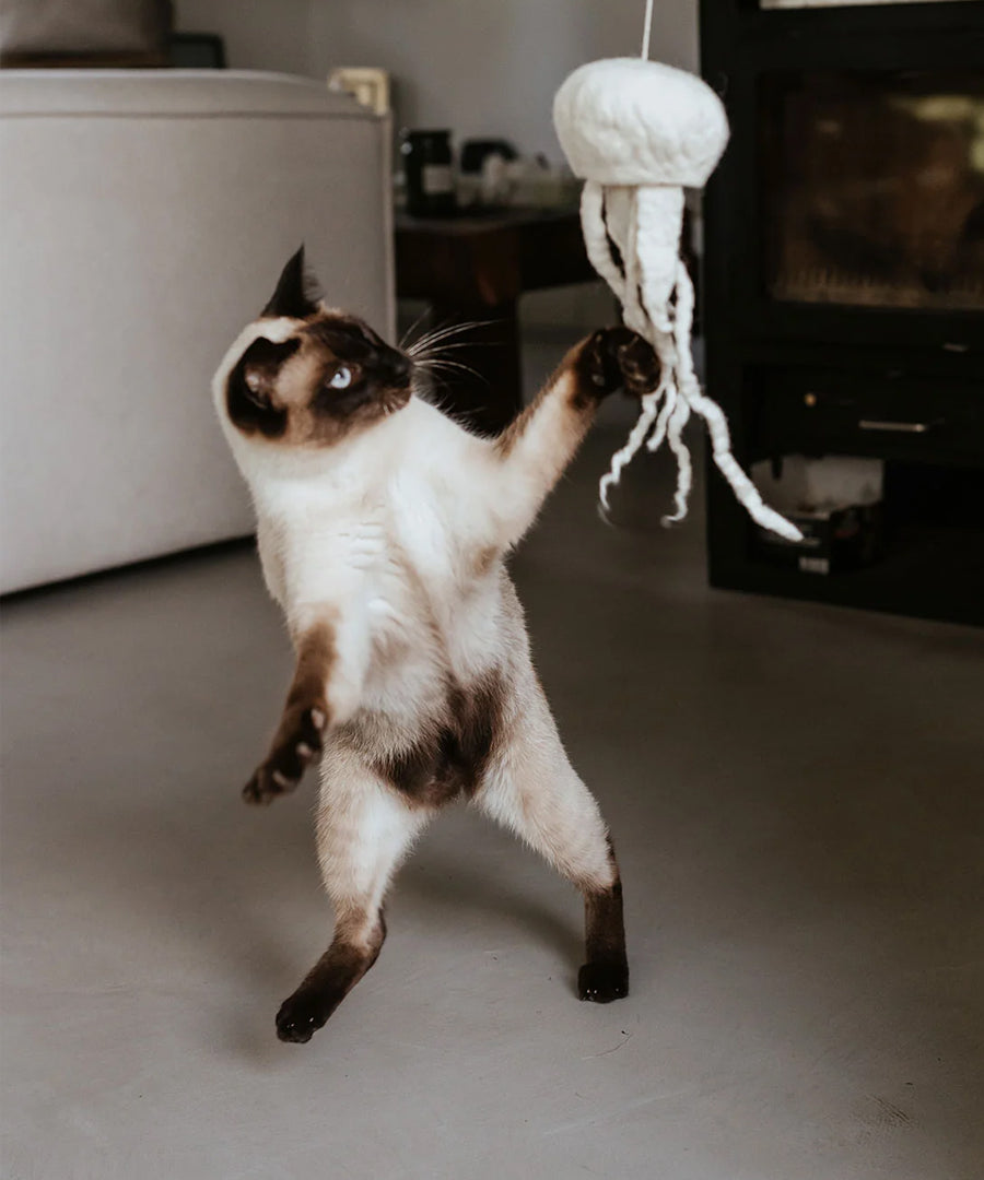 Hunter-Jouet-pour-chat-en-laine-meduse