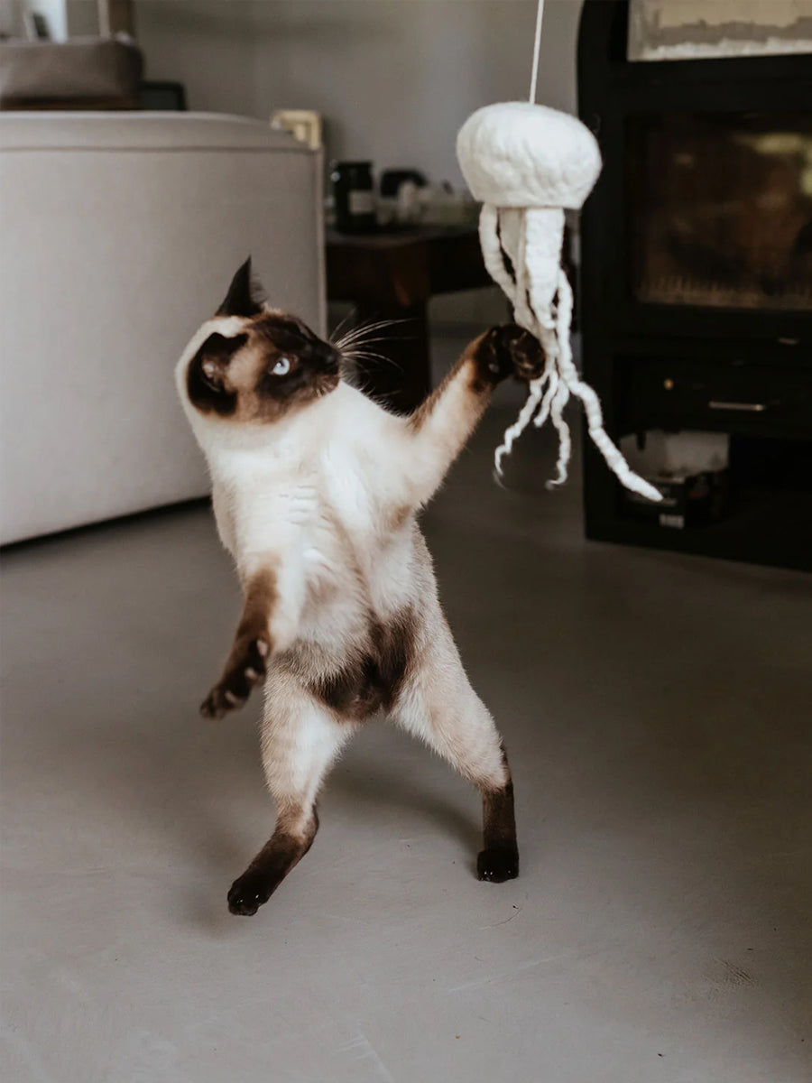 Hunter-Jouet-pour-chat-en-laine-meduse