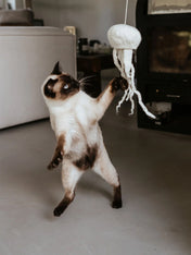 Hunter-Jouet-pour-chat-en-laine-meduse