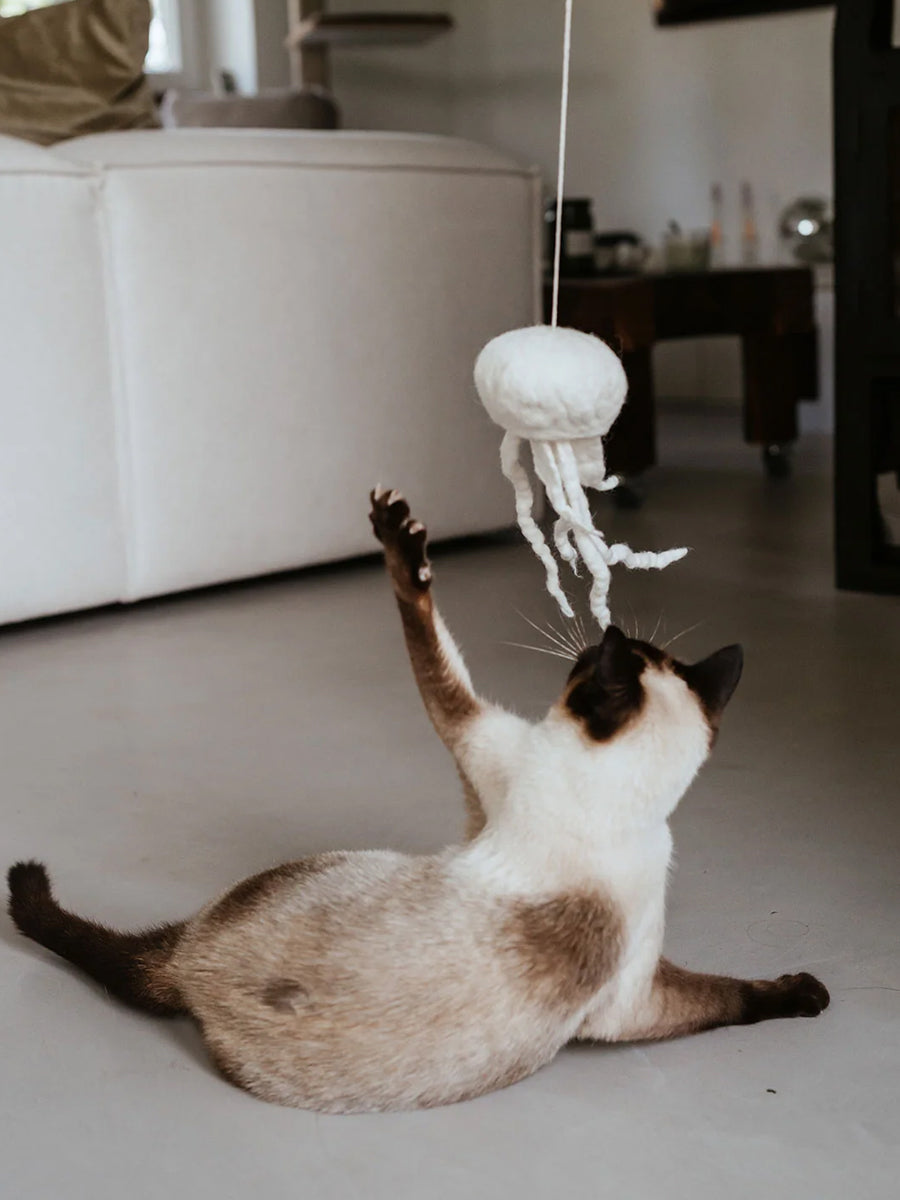 Hunter-Jouet-pour-chat-en-laine-meduse