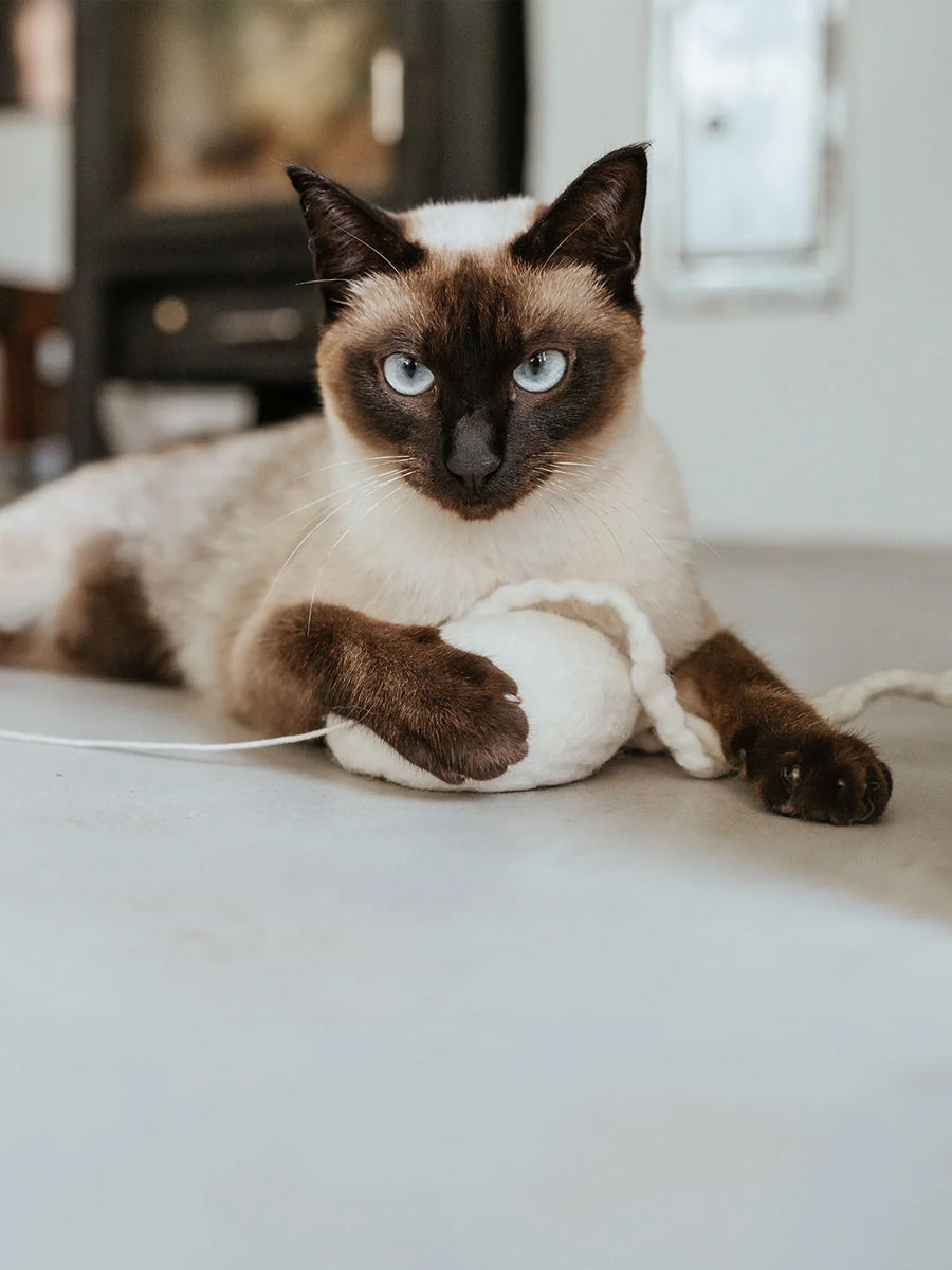 Hunter-Jouet-pour-chat-en-laine-meduse