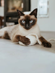 Hunter-Jouet-pour-chat-en-laine-meduse