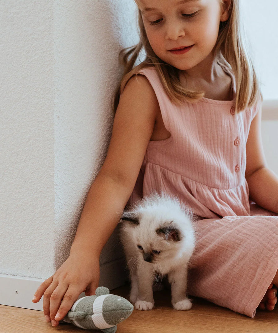 Hunter-Jouet-pour-chat-poisson-raye
