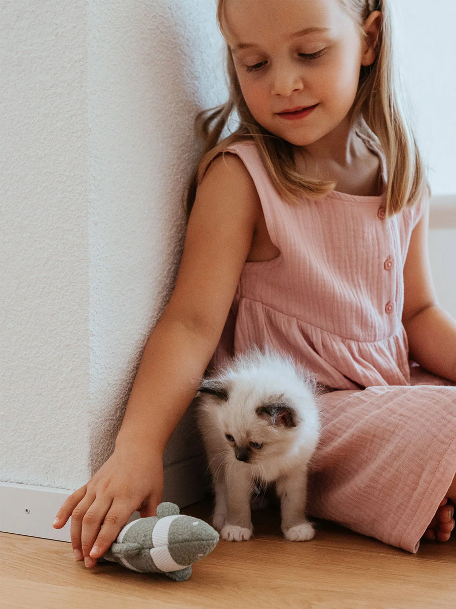 Hunter-Jouet-pour-chat-poisson-raye