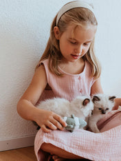 Hunter-Jouet-pour-chat-poisson-raye