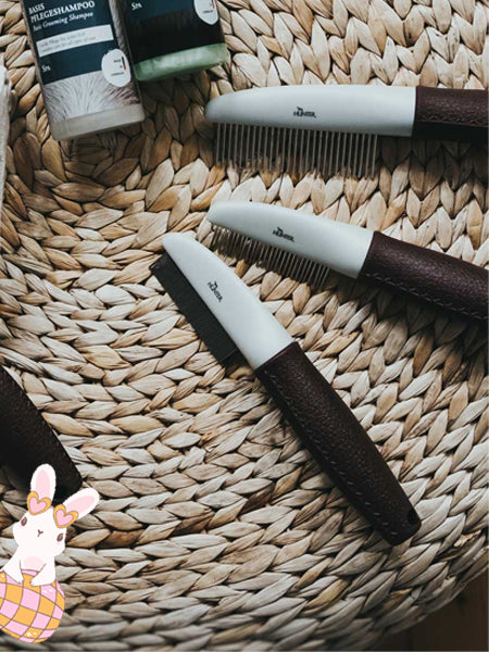 Hunter-brosse-anti-tiques-pour-chien-lapin-de-paques