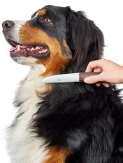 Hunter-brosse-demelante-pour-chien