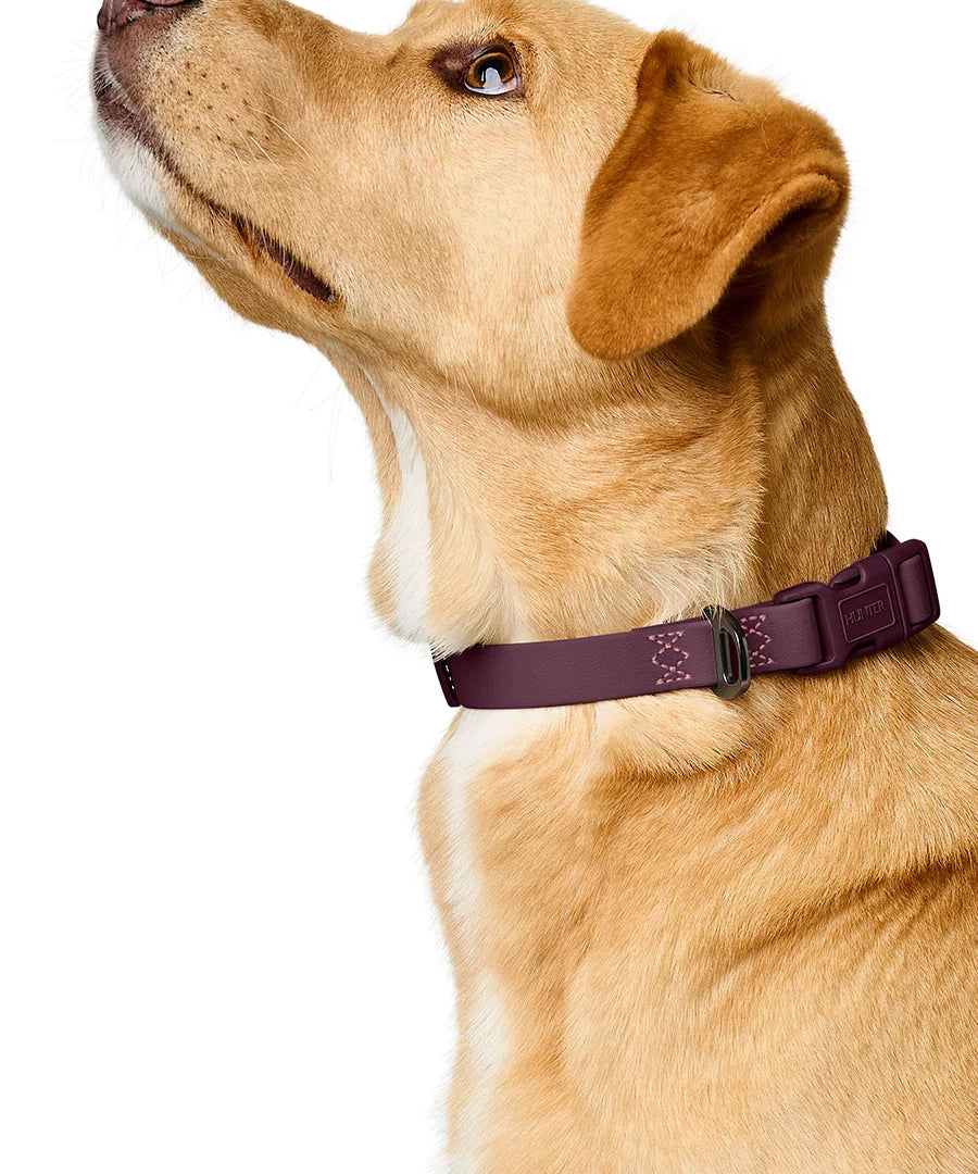 Hunter-collier-biothane-pour-chien-Havanna-mure