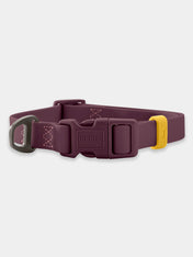 Hunter-collier-biothane-pour-chien-Havanna-mure