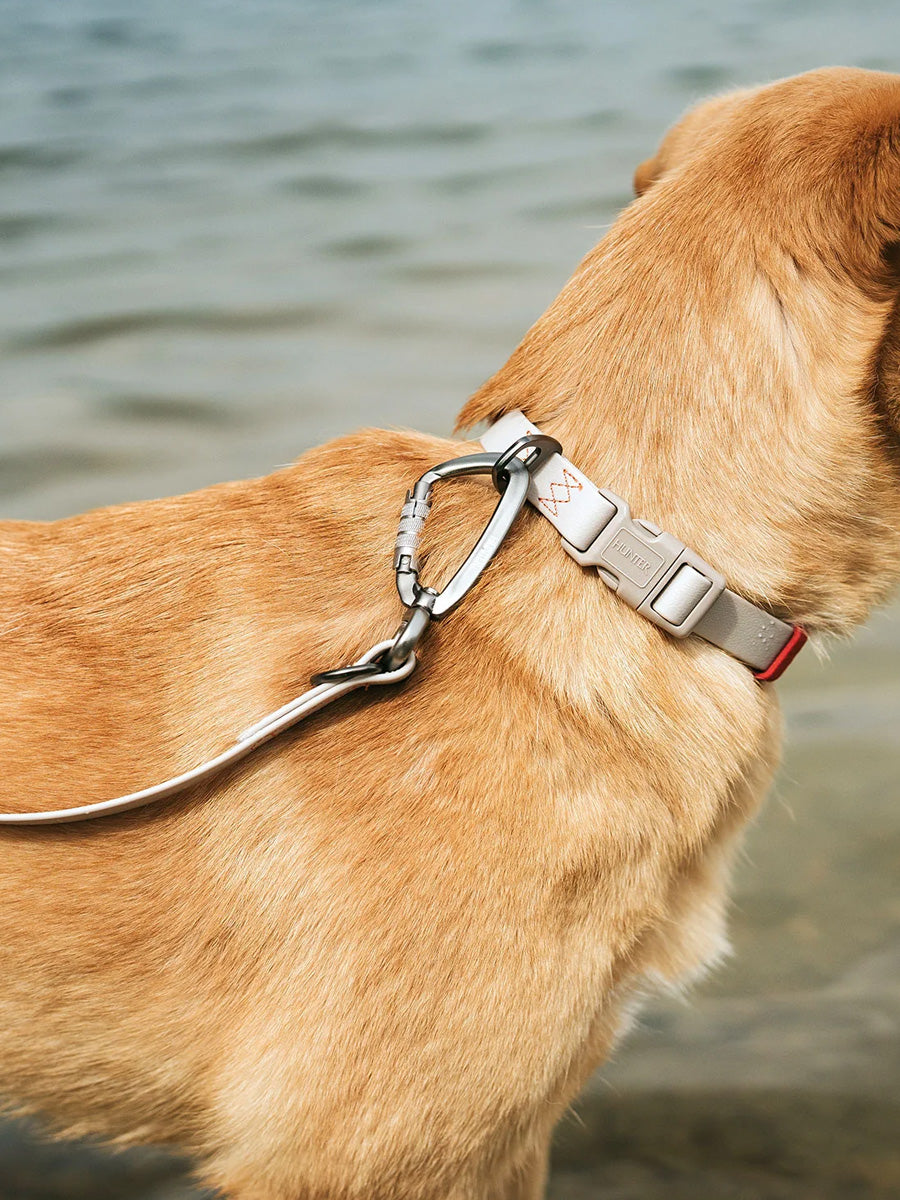 Hunter-laisse-biothane-pour-chien-Havanna-beige