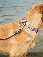 Hunter-laisse-biothane-pour-chien-Havanna-beige