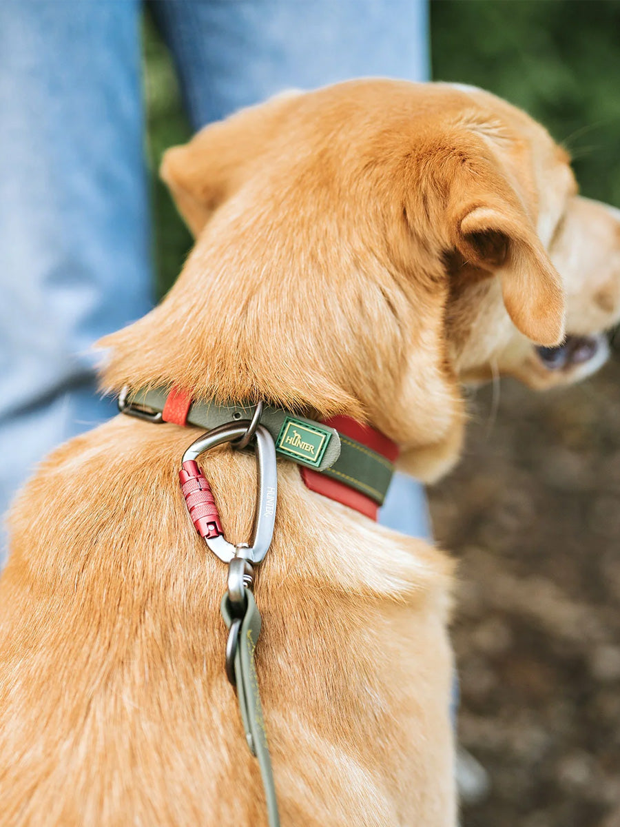 Hunter-laisse-biothane-pour-chien-Havanna-vert