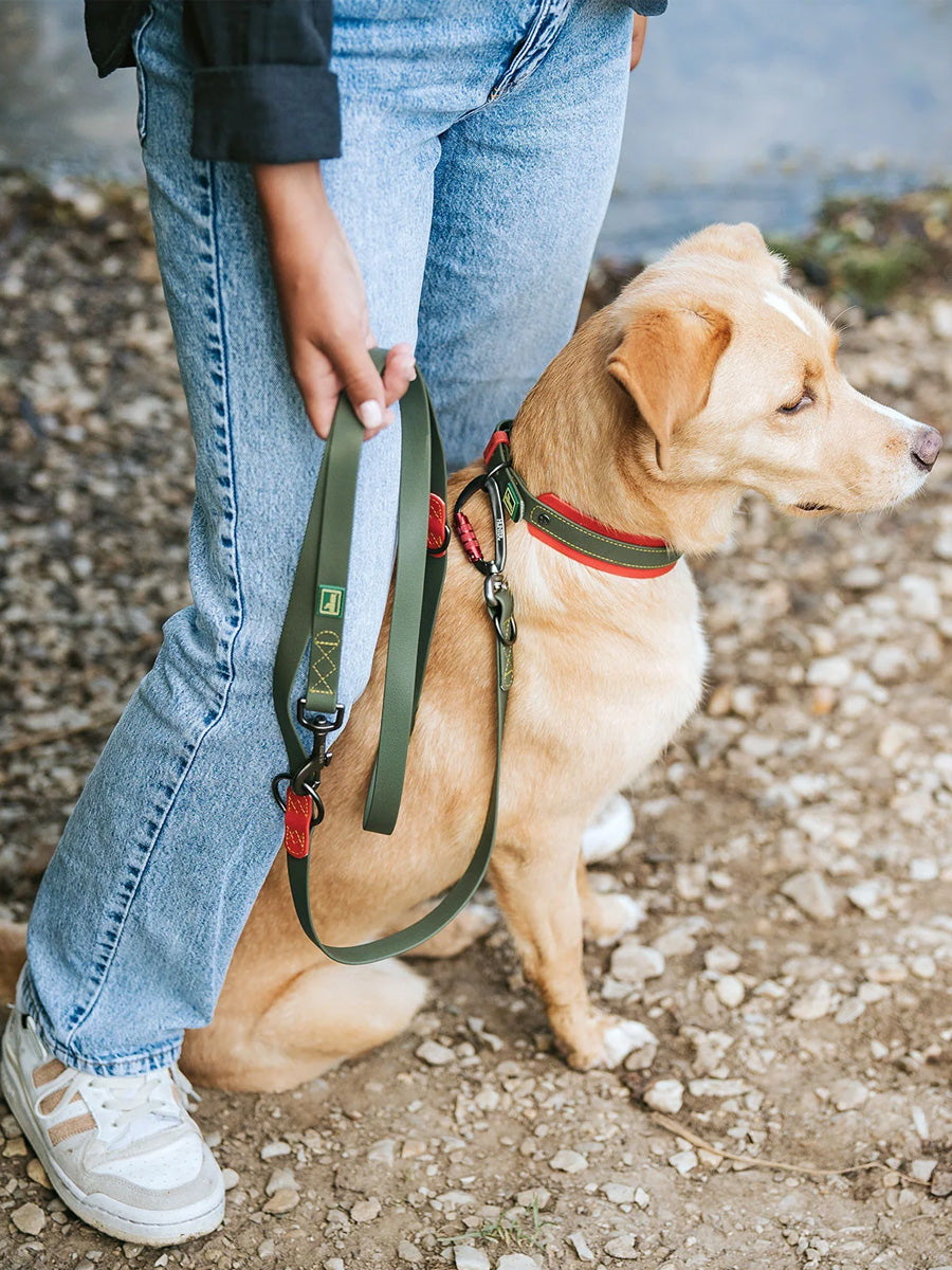 Hunter-laisse-biothane-pour-chien-Havanna-vert
