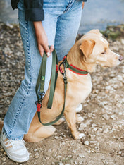Hunter-laisse-biothane-pour-chien-Havanna-vert