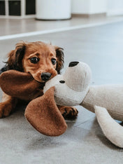       Hunter-peluche-chien-tout-doux-chien