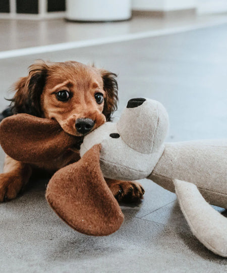       Hunter-peluche-chien-tout-doux-chien