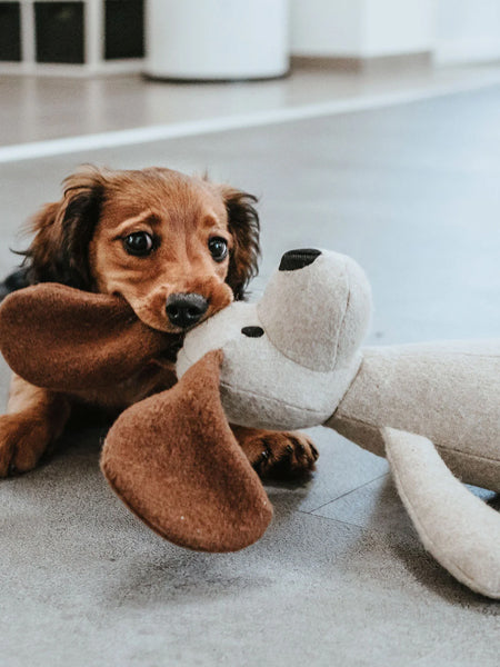       Hunter-peluche-chien-tout-doux-chien