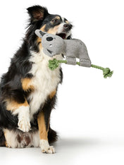 Hunter-peluche-chien-tout-doux-koala-corde
