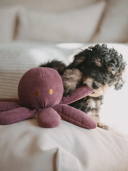 Hunter-peluche-pieuvre-tout-doux-chien-