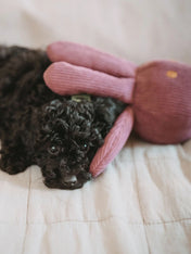 Hunter-peluche-pieuvre-tout-doux-chien-