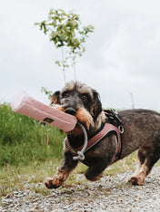 Hunter-sac-friandises-dummy-snack-education-rose