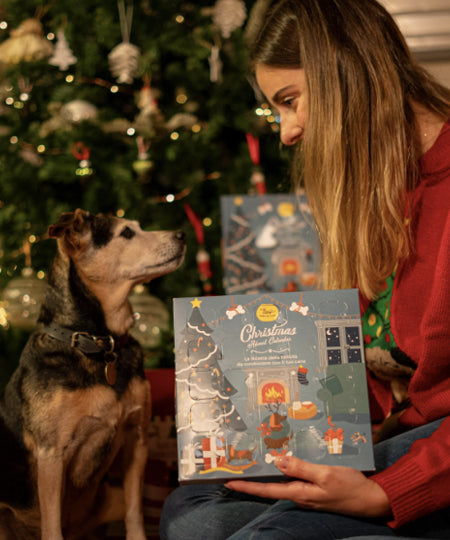 Hygge-biscuit-pour-chien-calendrier-de-l_avent-noel