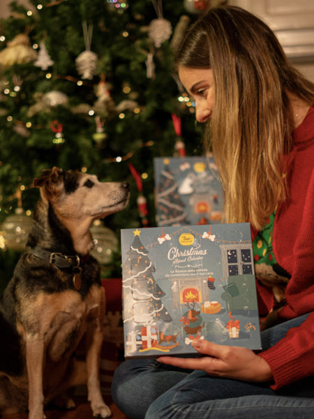 Hygge-biscuit-pour-chien-calendrier-de-l_avent-noel