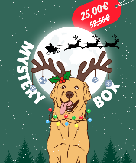 Inooko Box pour chien de noël
