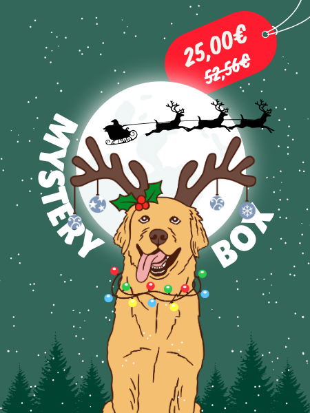 Inooko Box pour chien de noël